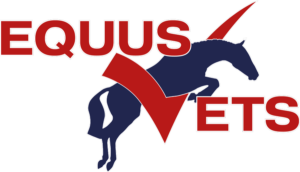 Equus Vets – Equine Vets in Devon