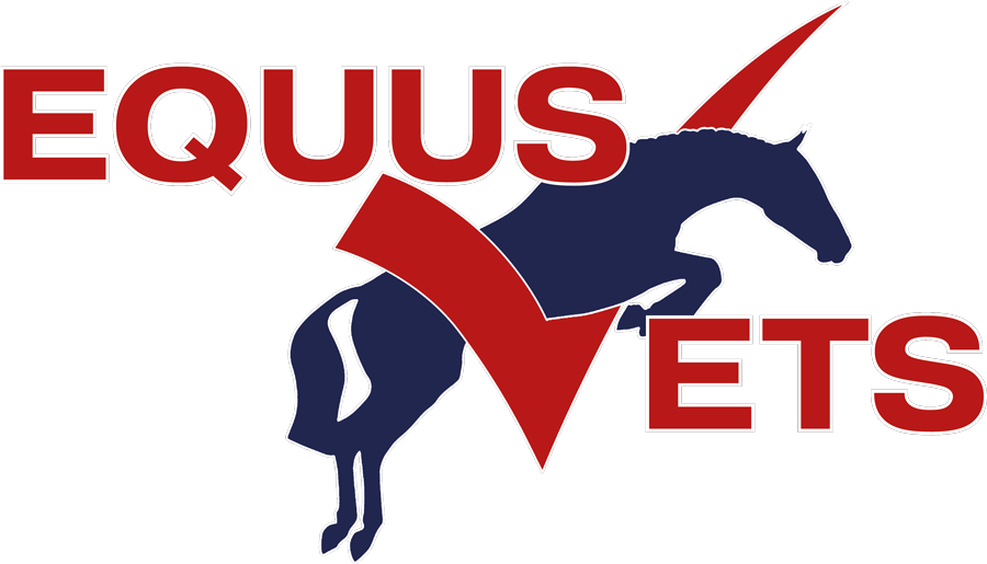 Equus Vets – Equine Vets in Devon